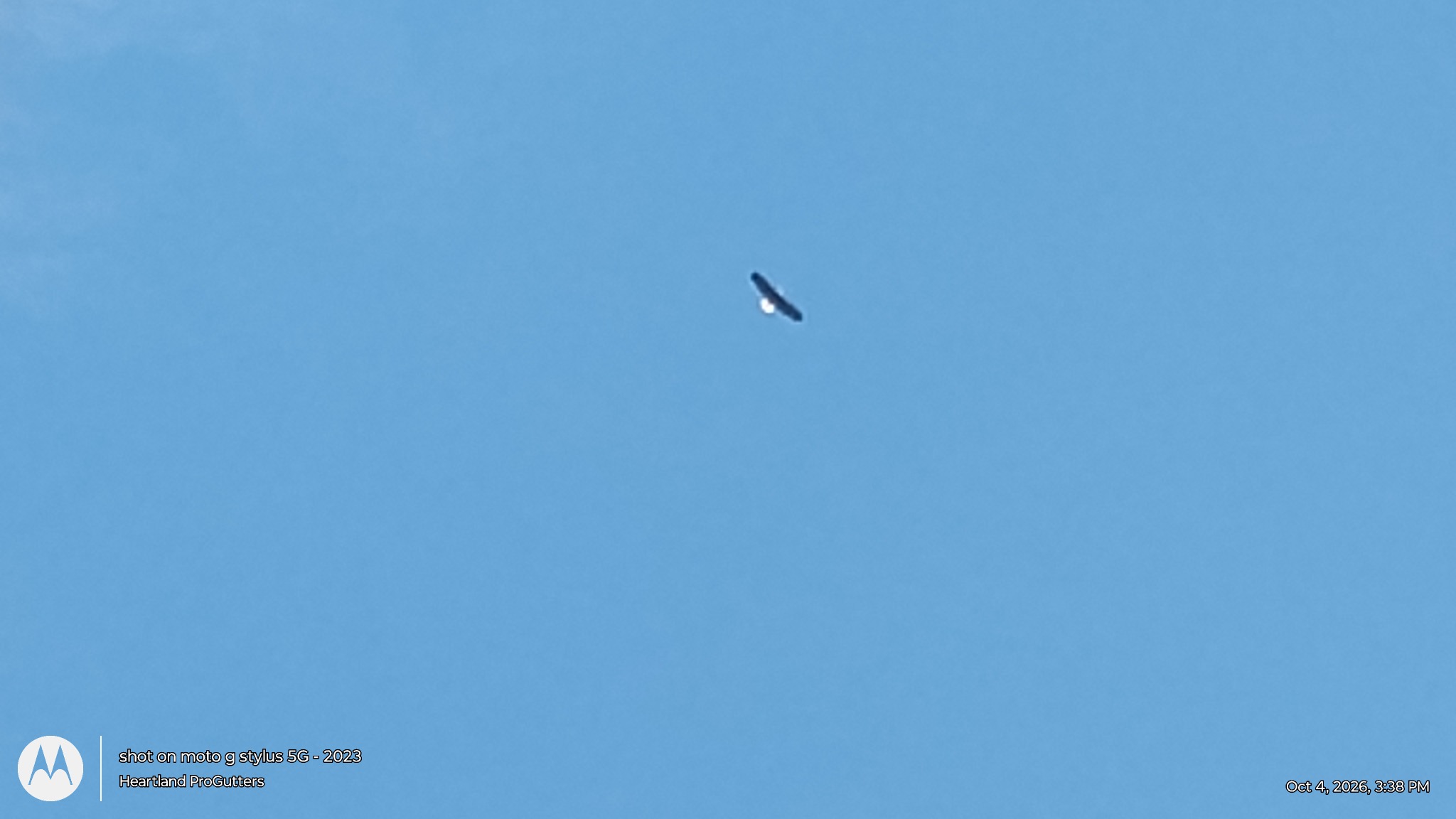 Distant bird in flight in a blue sky near the Fort Jefferson cross area